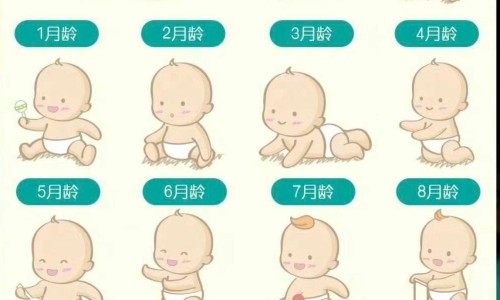 聚协昌药业-夏枯草胶囊说明书-专业夏枯草胶囊说明书图片大全平台-夏枯草胶囊说明书图片大全